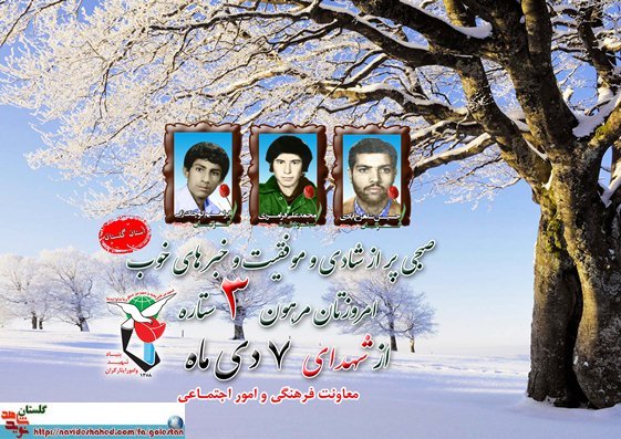 هفتم دی را مدیون سه شهید گلستانی هستیم هفتم دی را مدیون سه شهید گلستانی هستیم