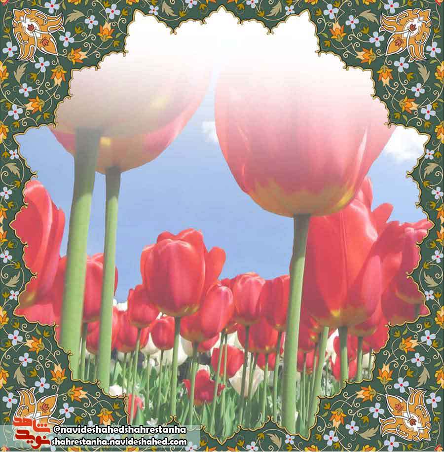 شهید عباس بیات