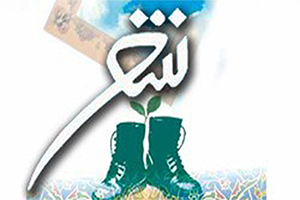 گلوله مبهوت گلوله مبهوت