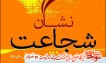 معرفی کتاب / نشان شجاعت