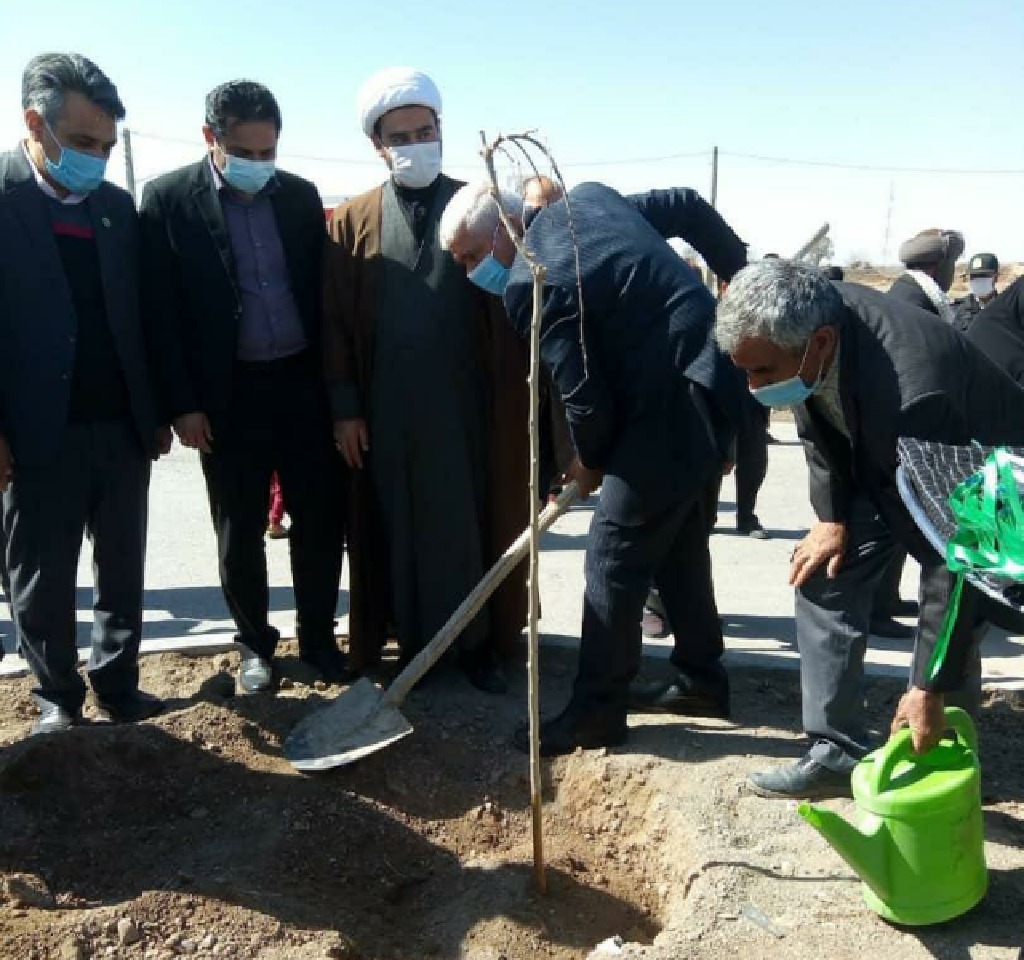 مراسم کاشت به یاد شهدا در شهرستان تربت حیدریه