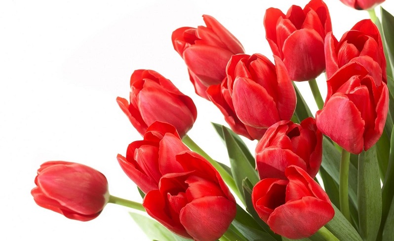 صبح یک جمعه ی زمستانی صبح یک جمعه ی زمستانی