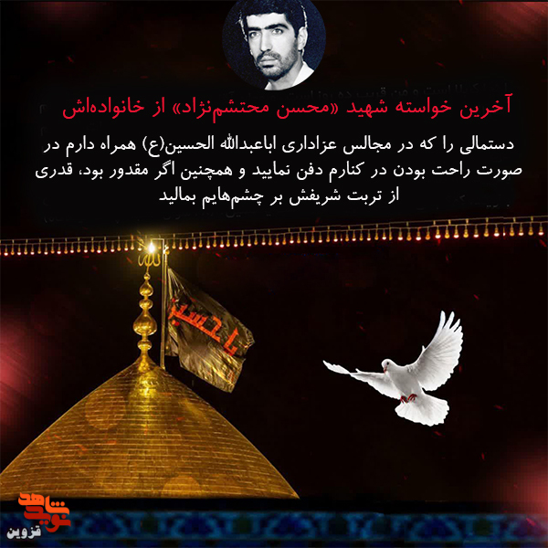 قدرى از تربت امام حسین (ع) را بر چشم‌هایم بمالید!