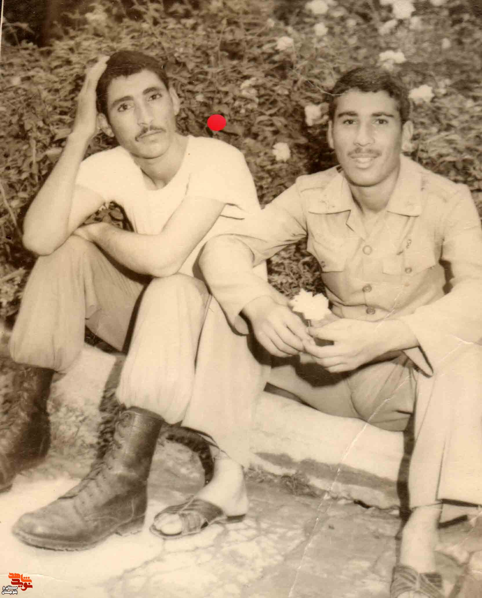 شهید«میرعلی شیخی» در قاب تصاویر