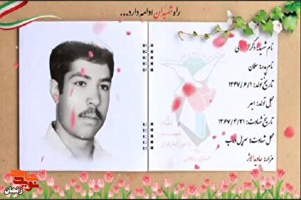 کلیپ / یاد و خاطر شهدای والامقام سی و یکم تیر ماه استان زنجان گرامی باد